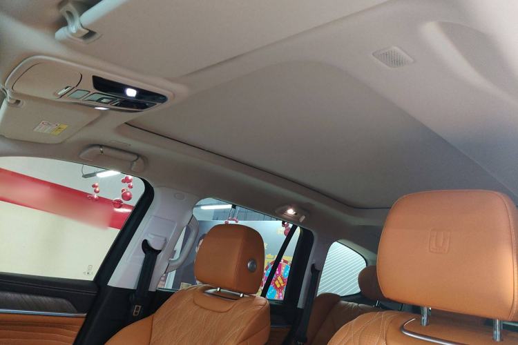 Used Tank 500 New Energy 2025 Hi4-Z Headliner