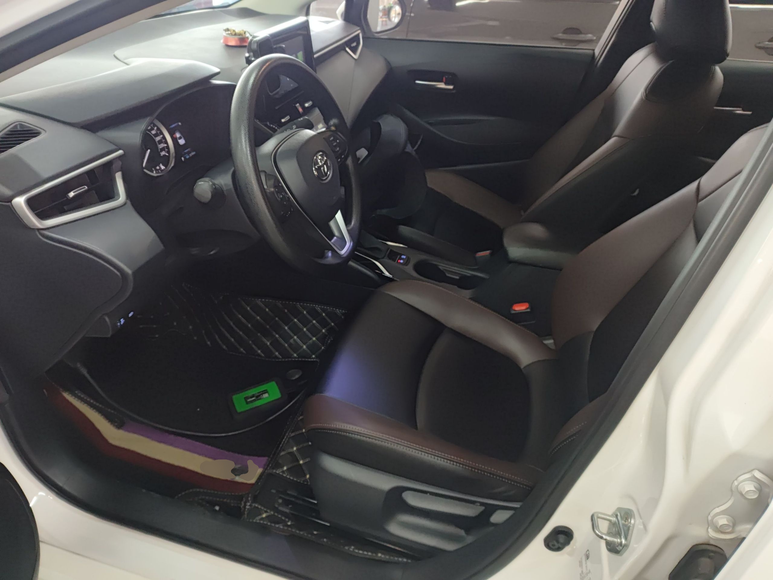 Interior delantero