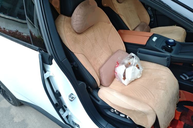 Used ONVO L60 2025 Model—60 kWh Rear-Wheel-Drive Version Right Front Seat