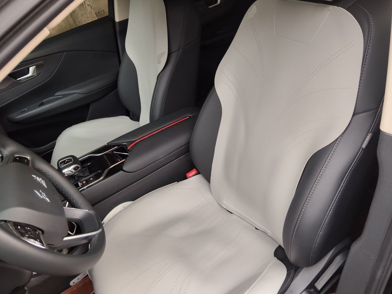 Hongqi E-QM5 2022 431 km Charge & Enjoy Edition — снимка 15