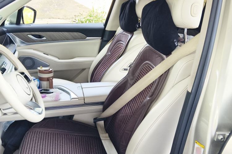 Used Wey Lanshan 2023 Four-Wheel Drive Ultra-Long Range Version