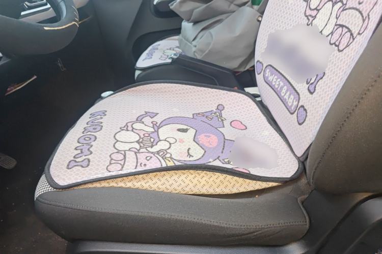 Used Wuling Hongguang MINIEV 2024 3rd Generation 215km Youth Edition Left Front Seat