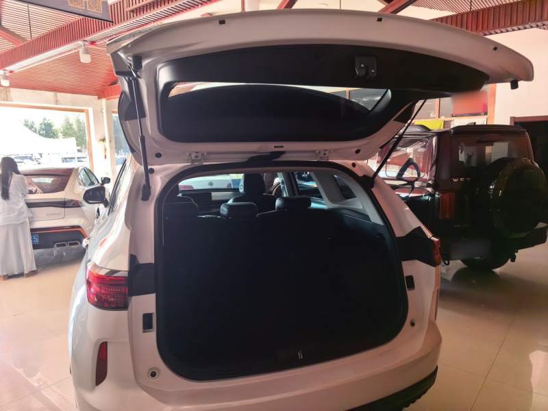 Used Haval H6 2022 3rd Generation 1.5T Automatic Two-Wheel Drive Plus — 9