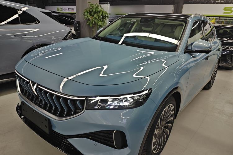 Used VOYAH FREE 2021 Four-Wheel Drive Extended-Range First-Edition Commemorative Model