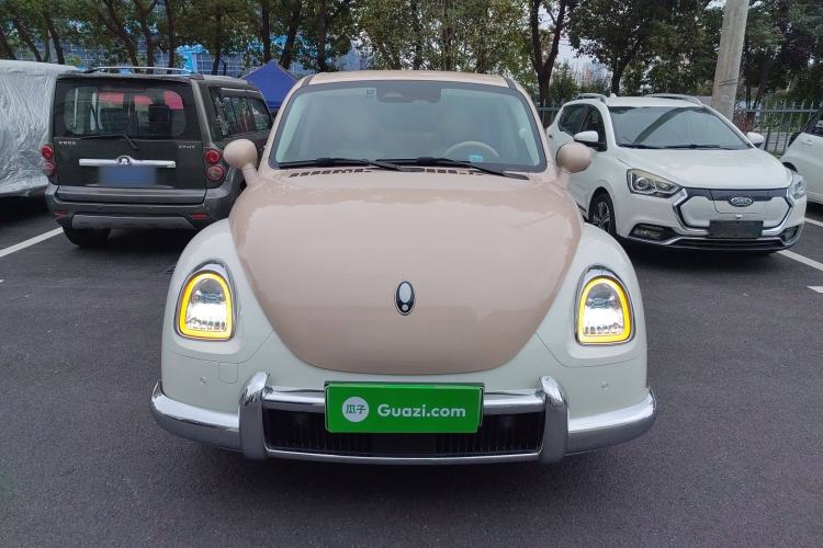 Used ORA Ballet Cat 2023 401 km Luxury Version
