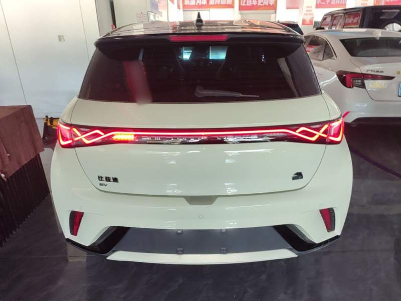 Used BYD Dolphin 2023 420 km Free Version — 5