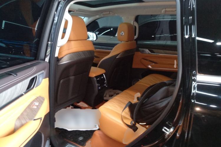 Used Tank 500 New Energy 2025 Hi4-Z Left Rear Seat