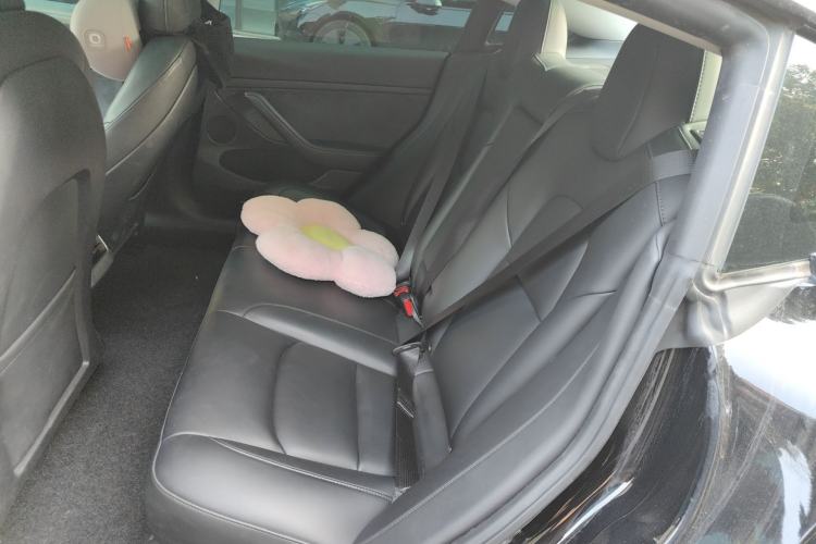 Used Tesla Model 3 2021 Standard Range Rear-Wheel Drive Upgraded Version 3D6