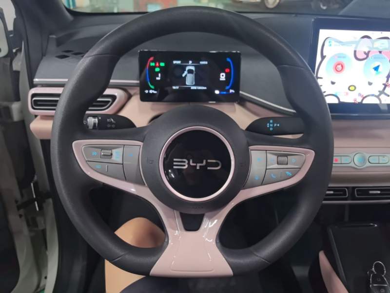 Used BYD Seagull 2025 Intelligent Driving Version 305 km Dynamic Edition — 10