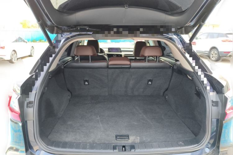 Used Lexus RX 2016 300 4x4 Elegant Edition China V-standard