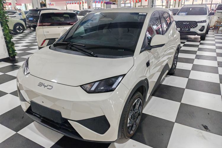 Used BYD Seagull 2025 Smart Drive Version 305 km Freedom Edition