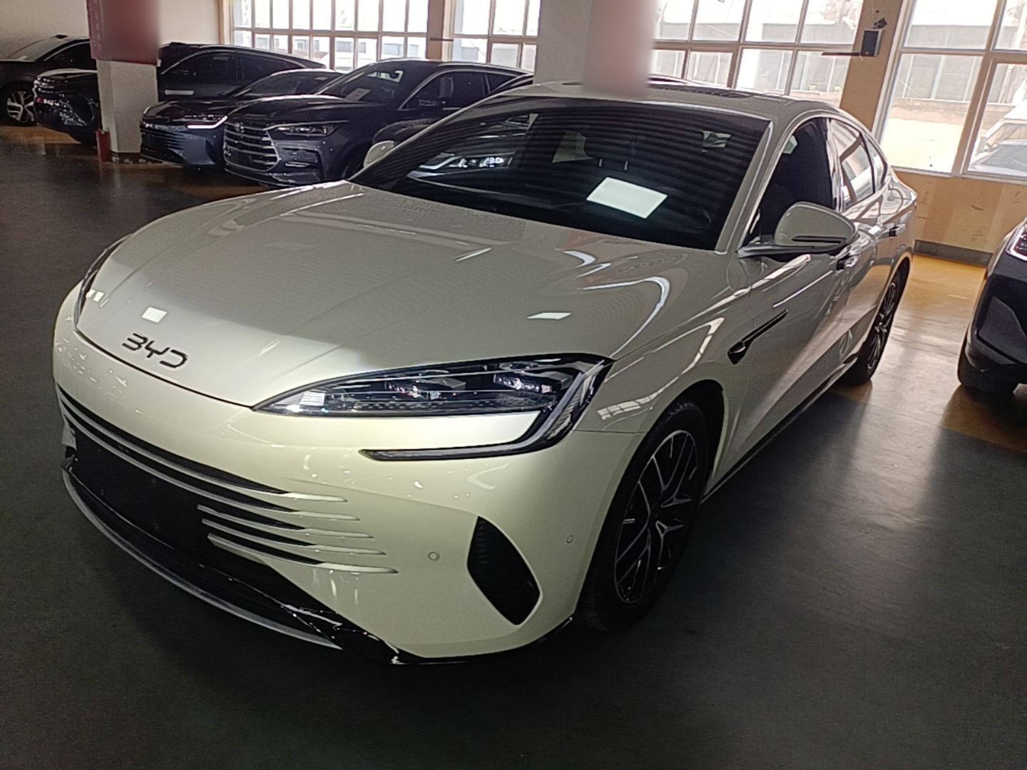 Under Front Bumper