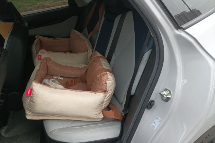 Used CHANGAN UNI-V iDD 2023 ZhiDian iDD 1.5T 113km ZhiKu Model Left Rear Seat