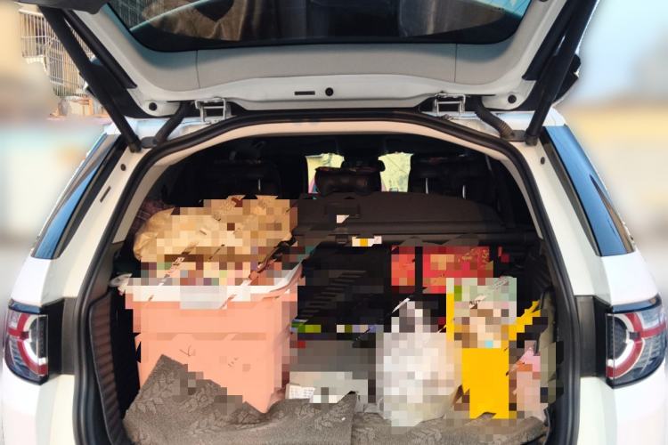 Used Land Rover Discovery Sport 2018 240 PS SE Version Trunk