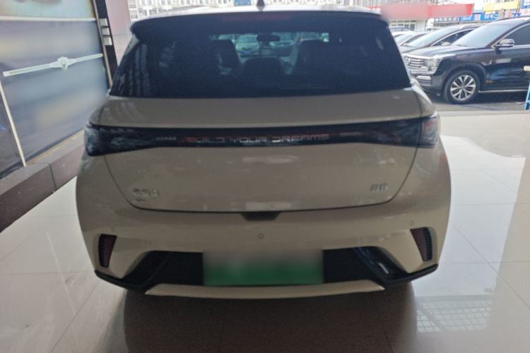 Used BYD Dolphin 2025 420km Free Edition Rear