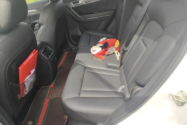 Used Haval H6 Coupe 2015 Blue Label 2.0T Manual Two-Wheel-Drive Elite Model Left Rear Seat