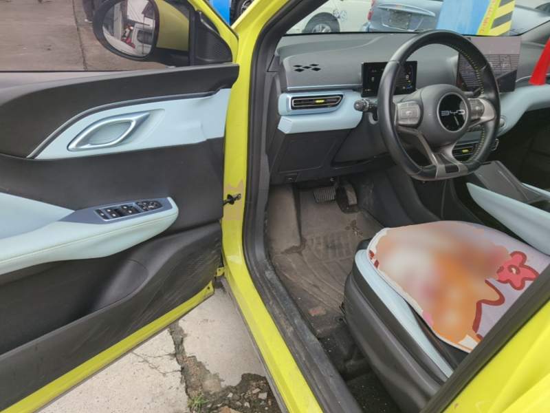 Used BYD Seagull 2023 Free Edition — 15