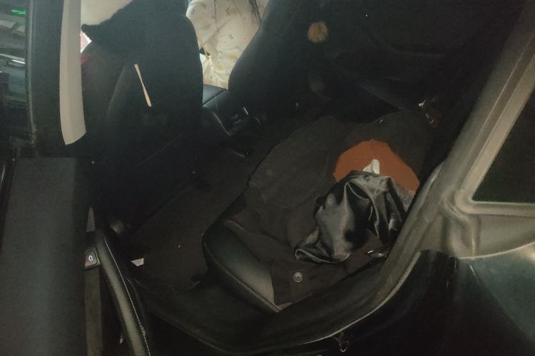 Used Tesla Model 3 2022 Rear-Wheel-Drive Version Left Rear Seat