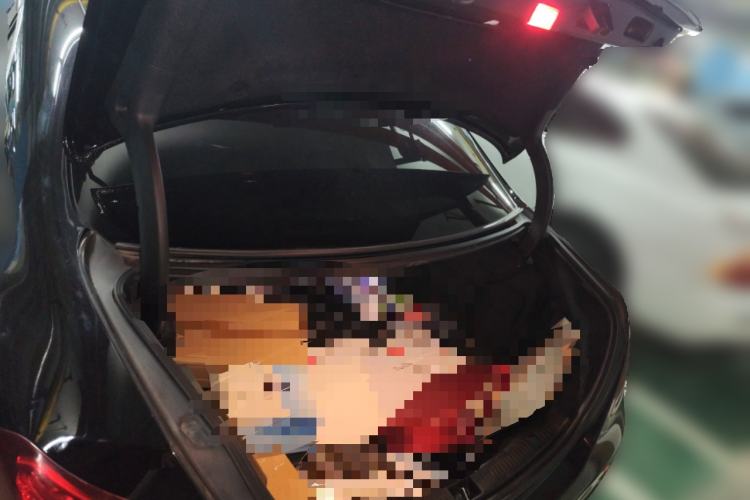 Used Mercedes-Benz E-Class 2016 E 200 L Sport Edition
