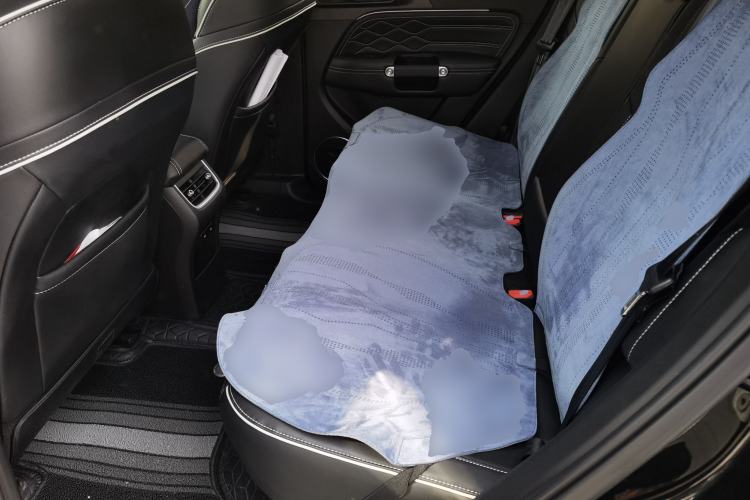 Used Tank 300 2024 2.0T Crosser
