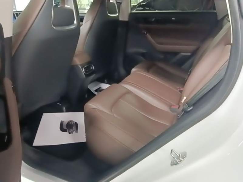 Used Leapmotor C11 2023 Pure Electric 500 Comfort Edition — 16
