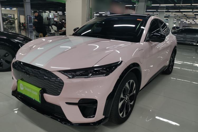 Used Ford Mustang Mach-E 2021 AION Y Plus Rear-Drive Luxury Edition (Long Range)