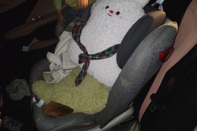 Used BYD Seagull 2024 Honor Edition 405km Flying Version Left Rear Seat