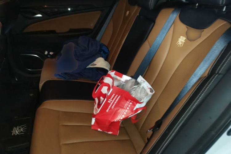 Used BYD Qin New Energy 2018 Qin EV450 Smart Connect Prestige Model Left Rear Seat