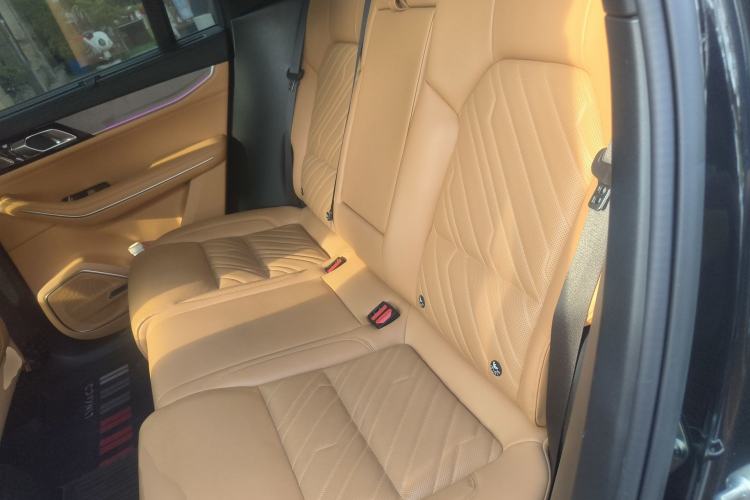 Used Lynk & Co 09 EM-P 2023 2.0TD EM-P Four-Wheel Drive Asian Games Executive Edition Five Seats
