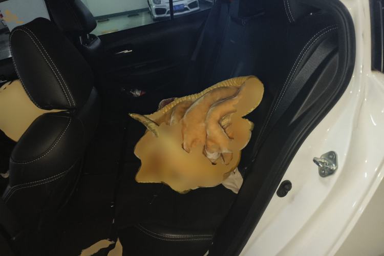 Used Toyota Corolla 2019 1.2T S-CVT GL-i Elite Edition