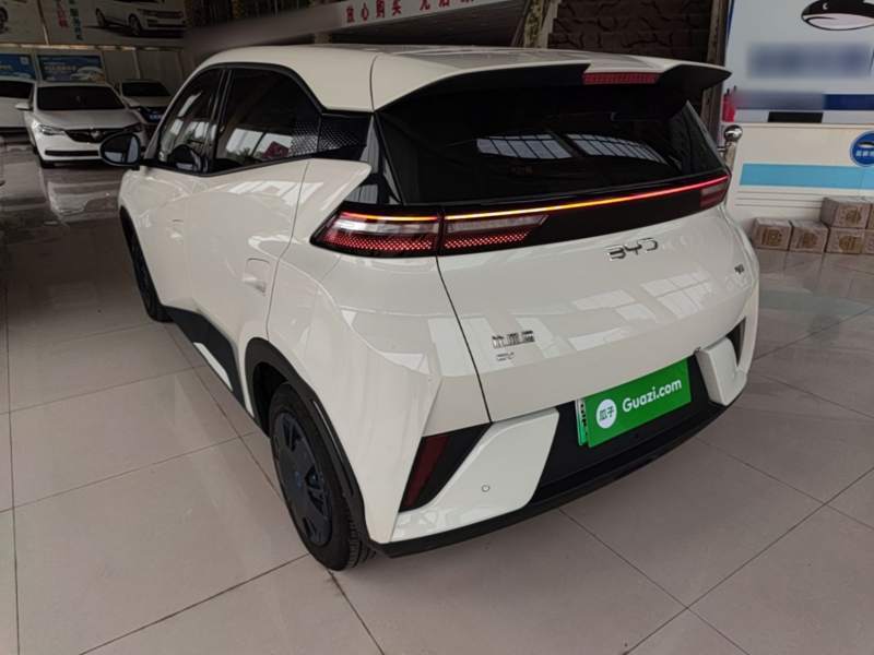 Used BYD Seagull 2025 Intelligent Driving Version 305 km Dynamic Edition — 4