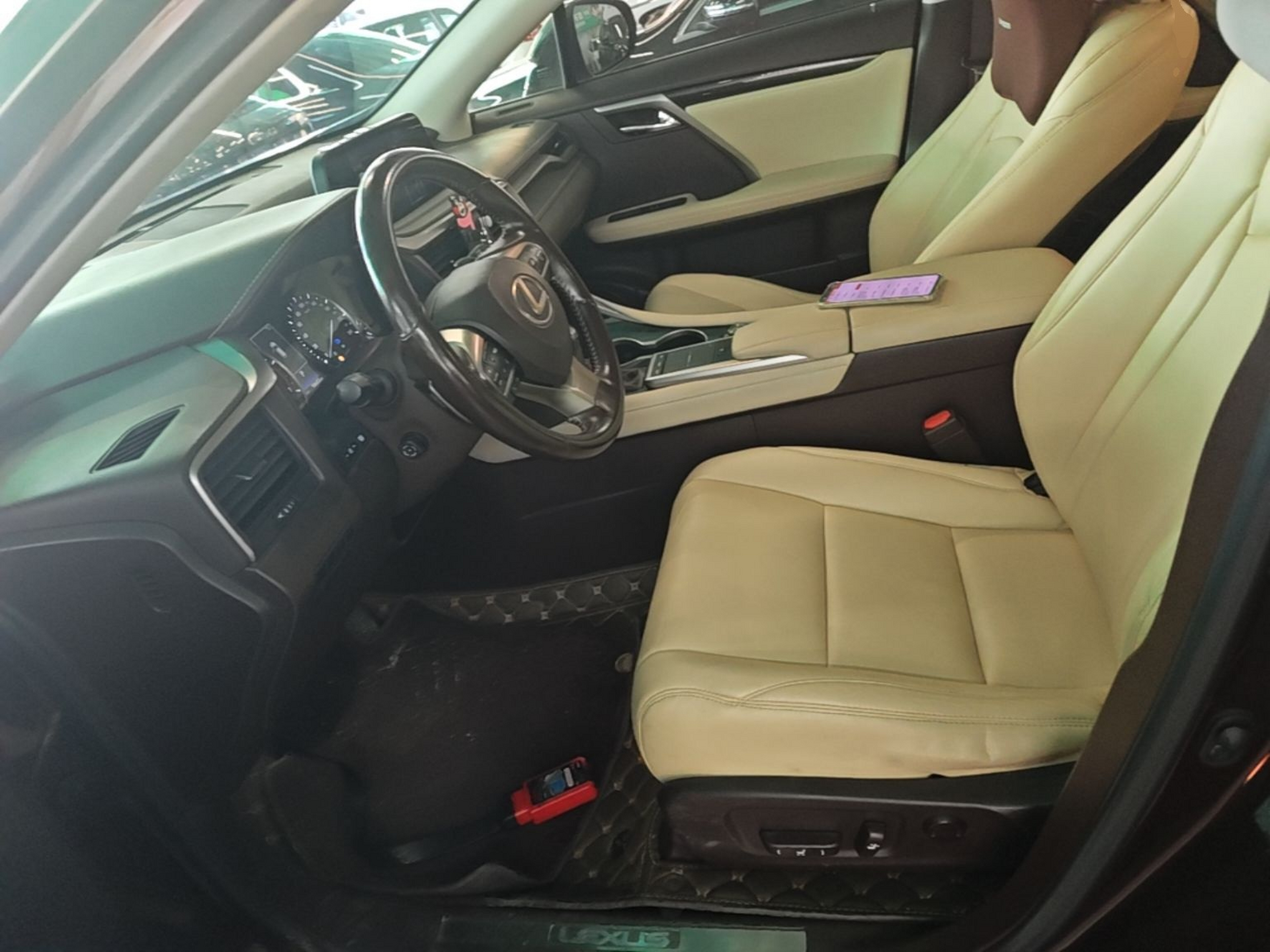 Interior delantero