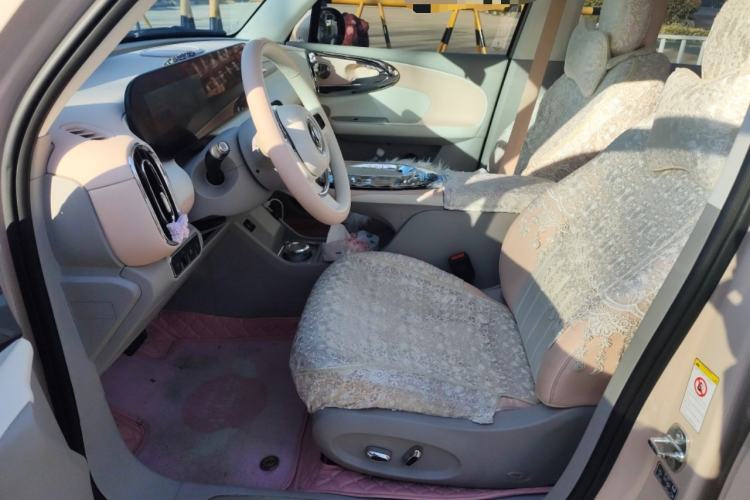 Used ORA Ballet Cat 2023 401 km Luxury Version
