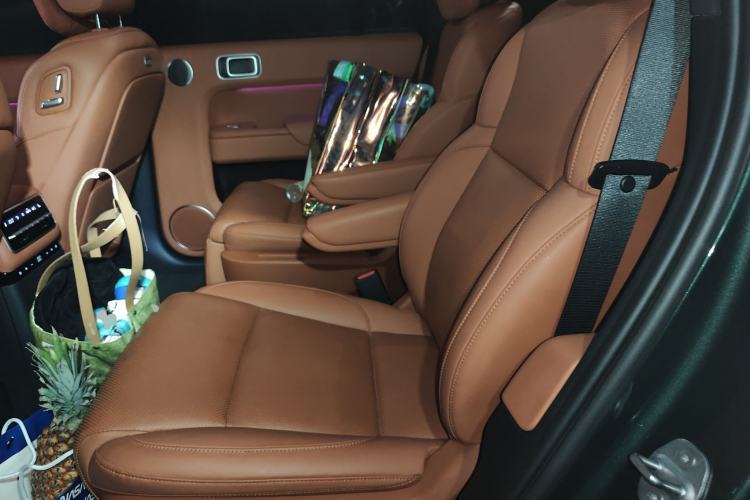 Used Li Auto L9 2022 Max model Left Rear Seat