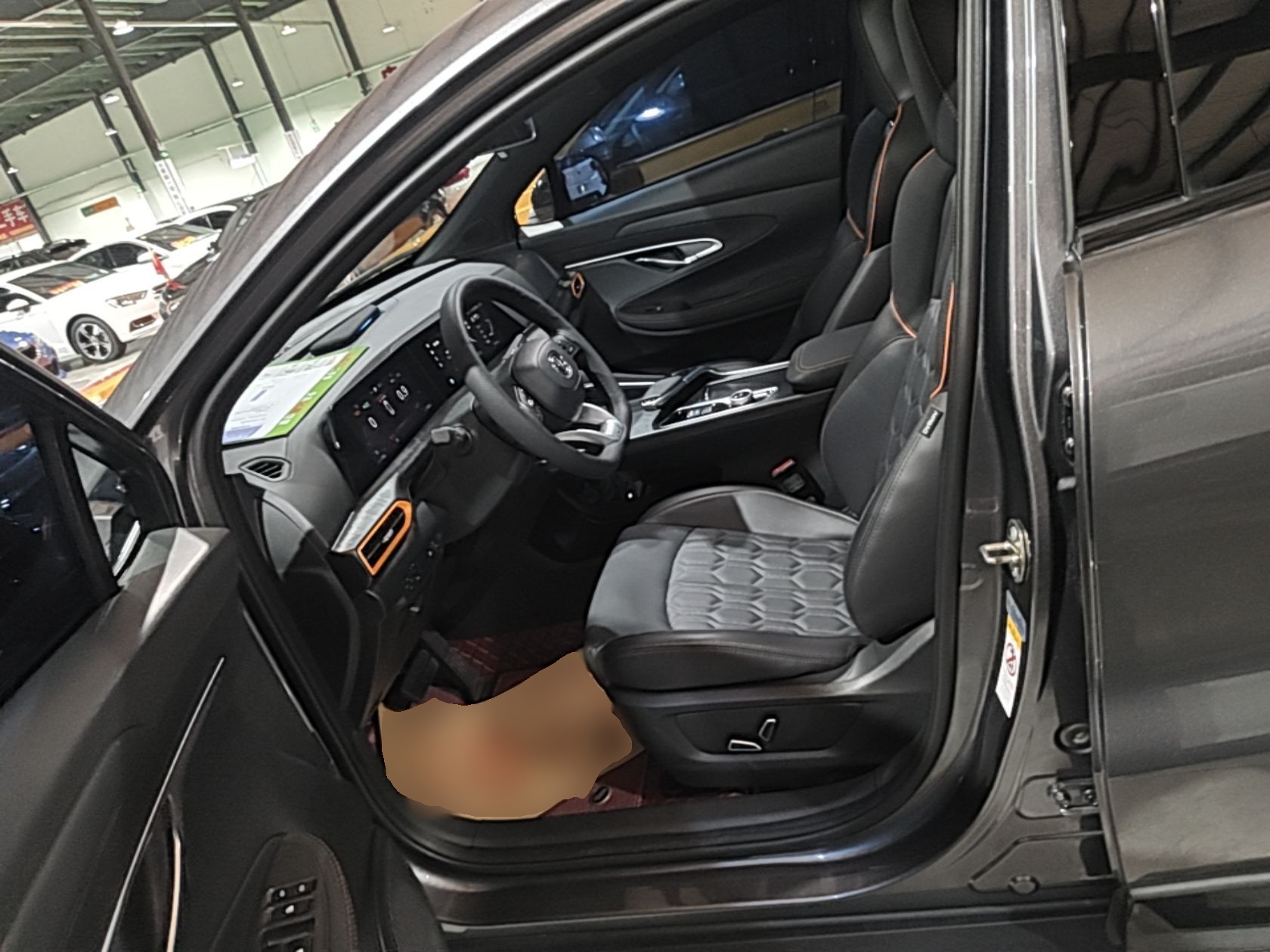 Interior delantero