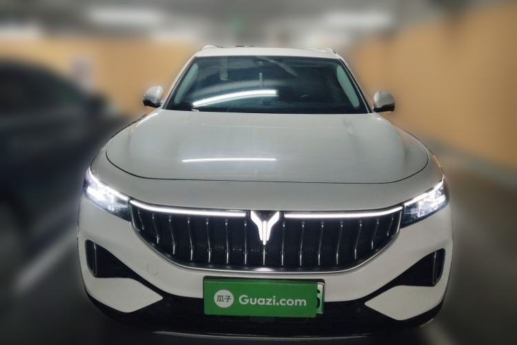 Used VOYAH FREE 2021 Two-Wheel Drive Standard Pure Electric Version Front