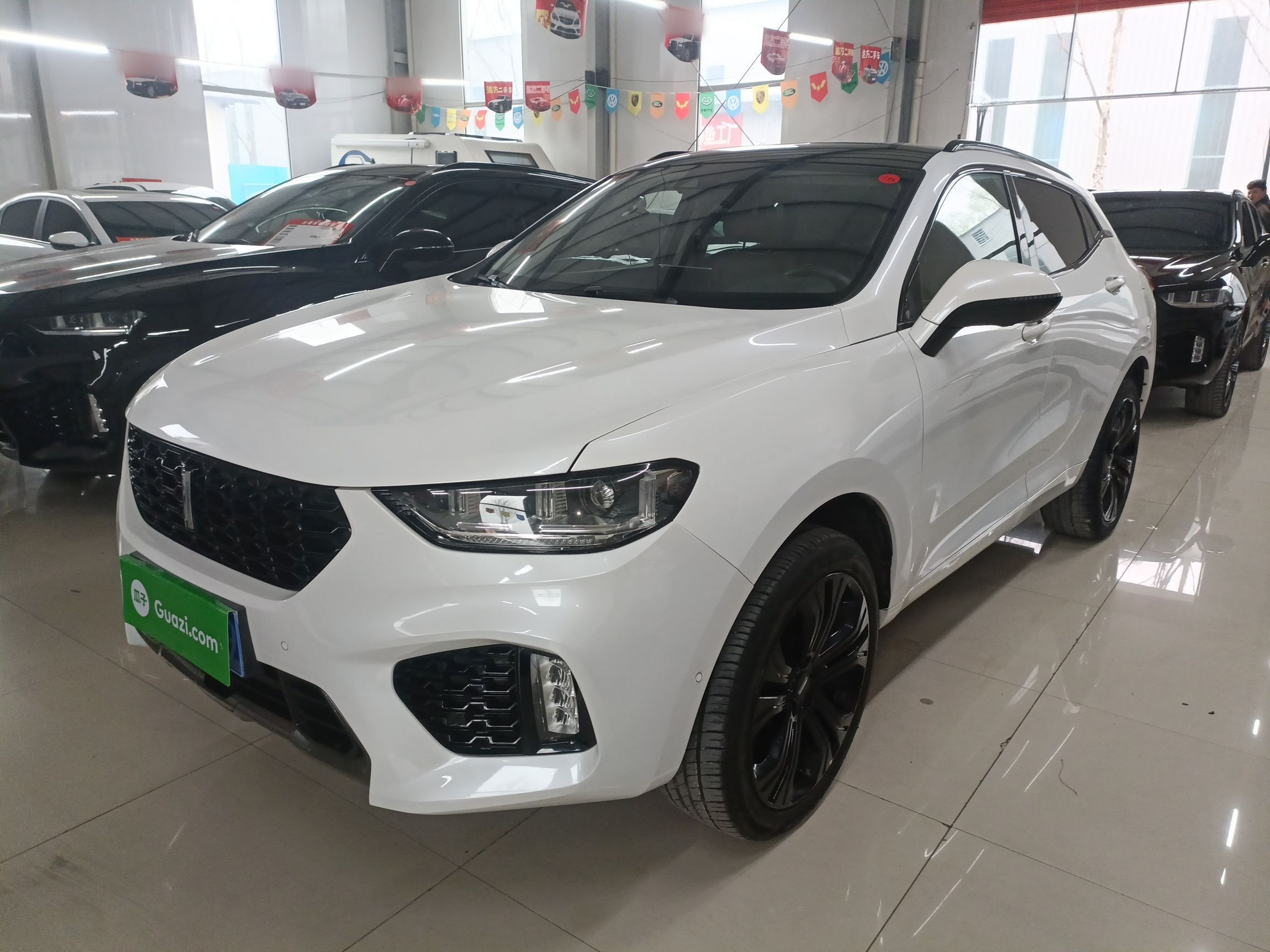 Under Front Bumper