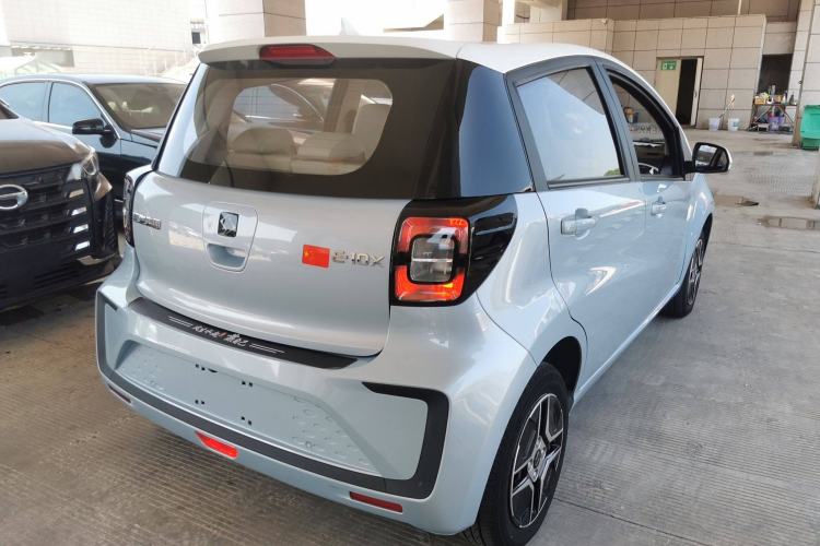 Used SOL E10X 2022 Flower Fairy Design Four-Leaf Clover