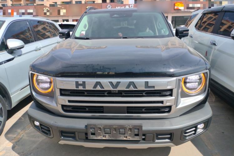 Used Haval DARGO 2024 2.0T DCT Chinese Rural Dog Edition
