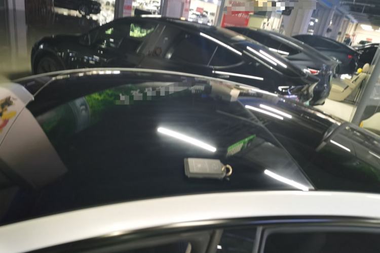 Used Tesla Model 3 2023 Rear-Wheel-Drive Version