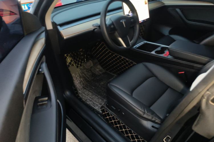 Used Tesla Model Y 2021 Standard Range Rear-Wheel Drive Version