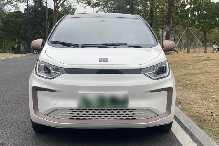 Used SOL E10X 2022 Flower Fairy Design Four-Leaf Clover