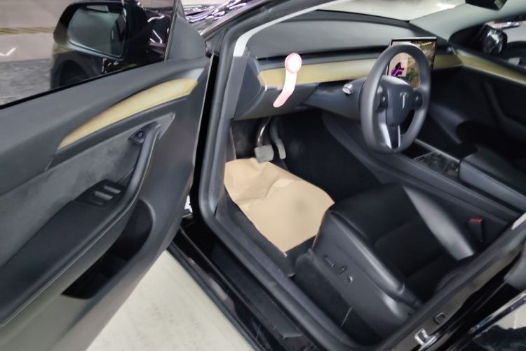 Used Tesla Model Y 2022 Revised Version Long-Range All-Wheel Drive