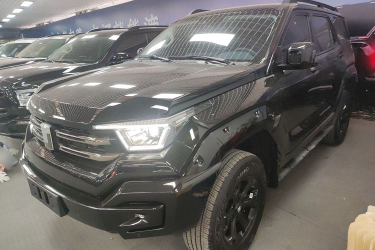 Used Tank 400 2025 2.0T Gasoline Version