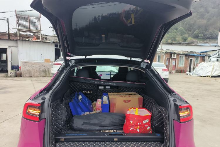 Used Tesla Model Y 2021 Standard Range Rear-Wheel Drive Version
