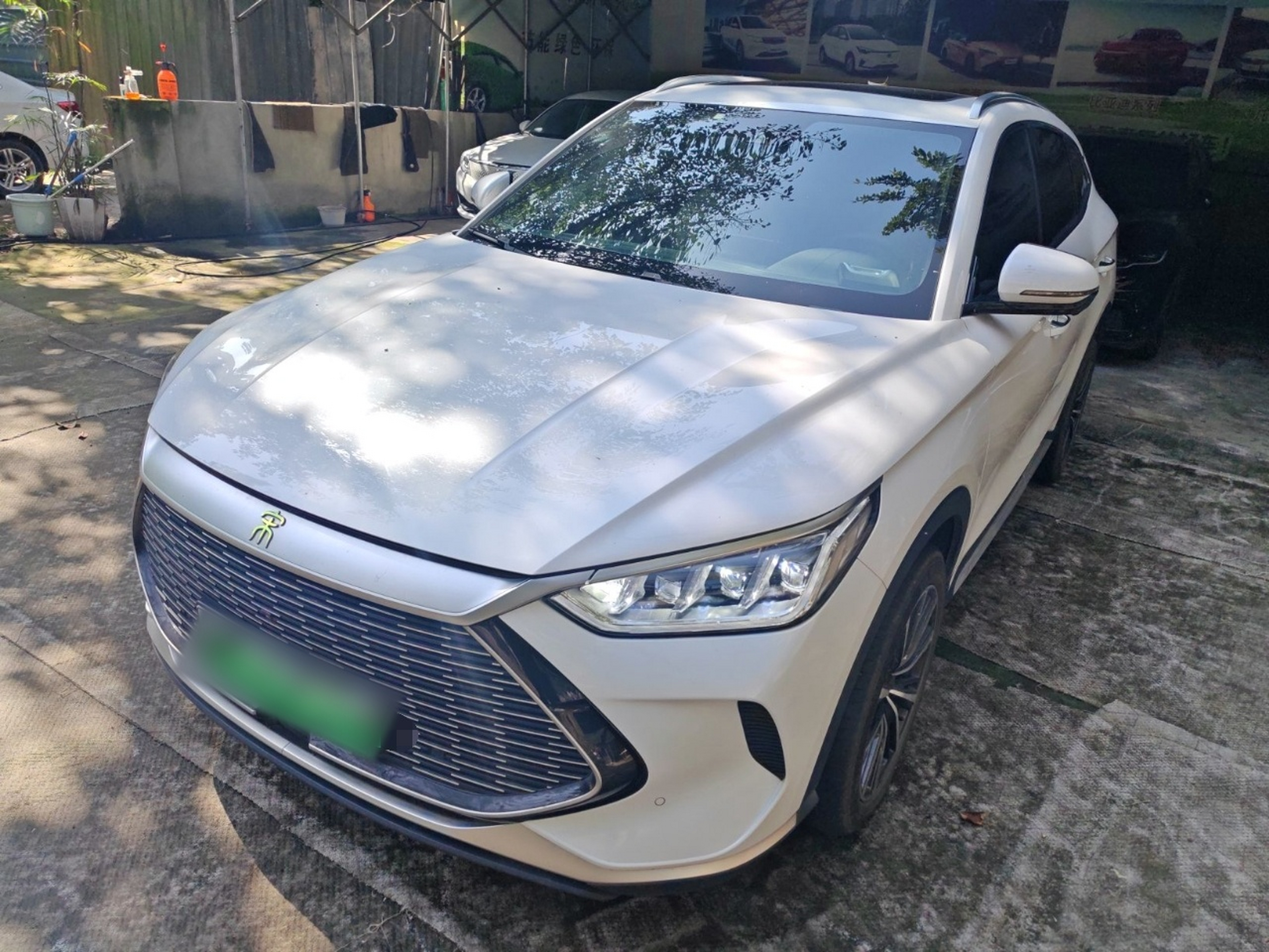 Parte inferior delantera