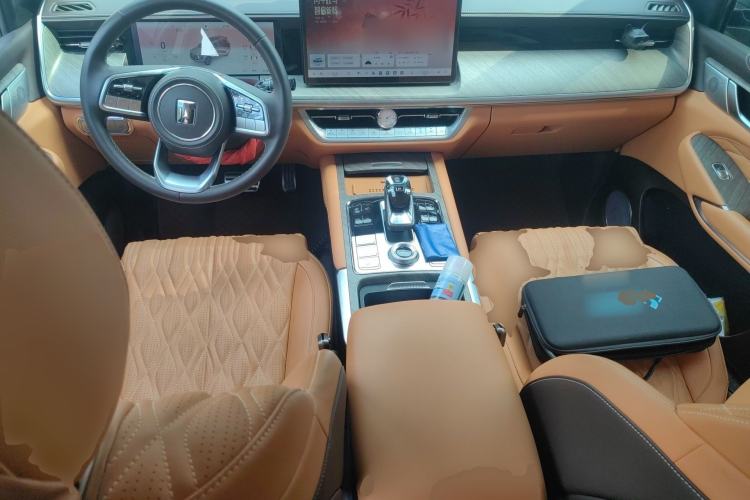 Used Tank 500 New Energy 2025 Hi4-Z
