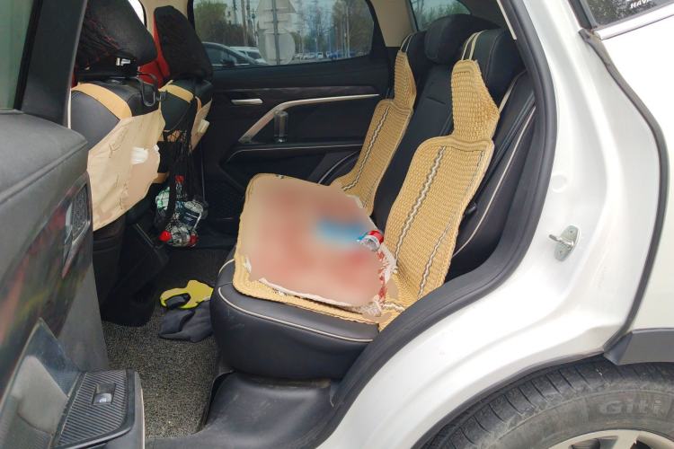 Used Haval H6 2021 National Trend Edition 1.5T Automatic Champion Version Left Rear Seat