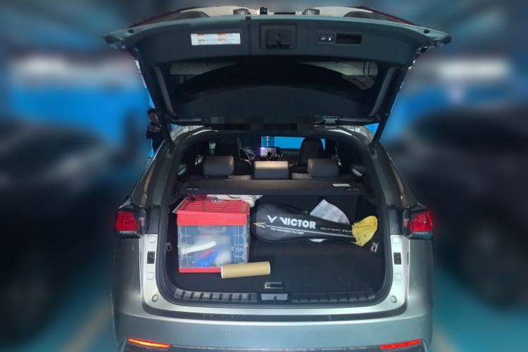 Used Lexus NX 2020 300h Front-Wheel Drive Smart Hybrid Special Limited Edition
