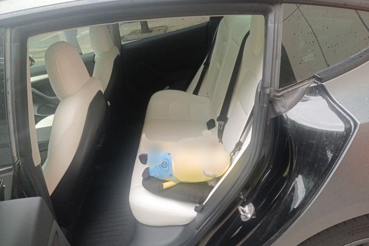 Used Tesla Model 3 2021 Standard Range Rear-Drive Upgraded Version
